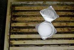 Apiguard1 50 gr-250x250